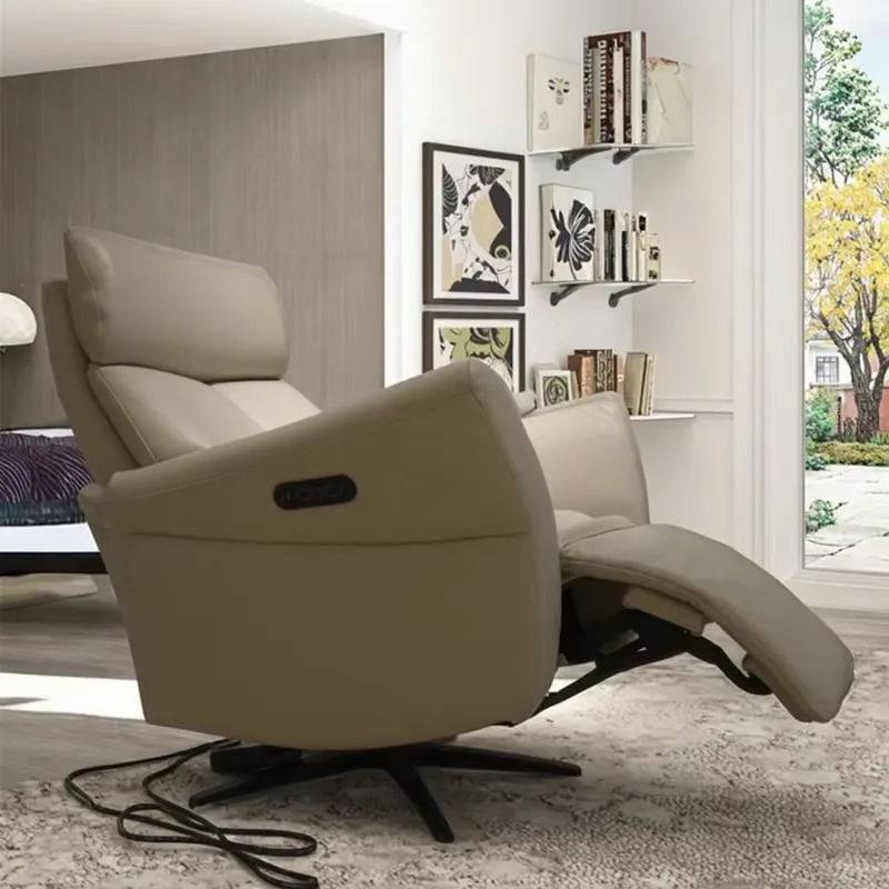 Electric Recliner Chair Genuin - Home Decor Sofa 评论和价格