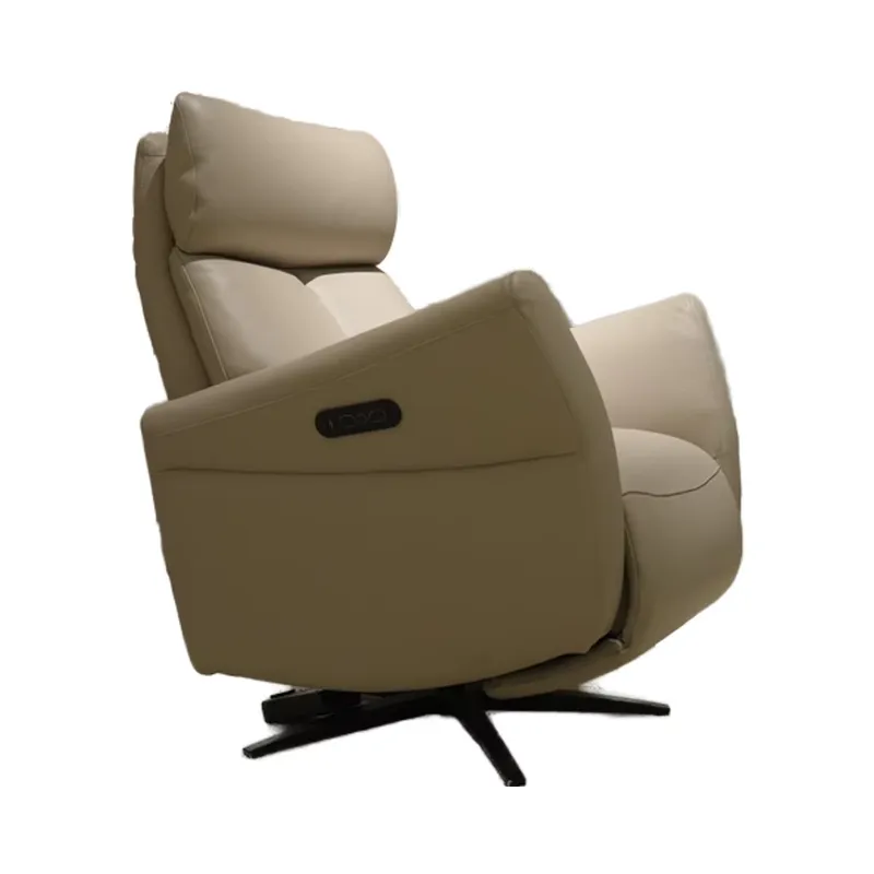 Electric Recliner Chair Genuin - Home Decor Sofa 评论和价格