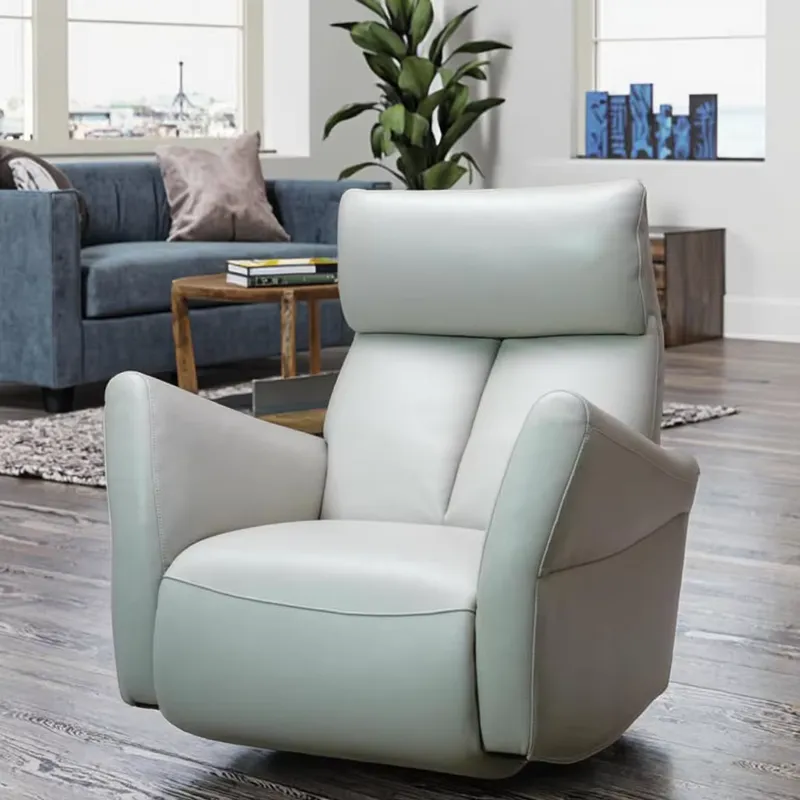 Electric Recliner Chair Genuin - Home Decor Sofa 评论和价格