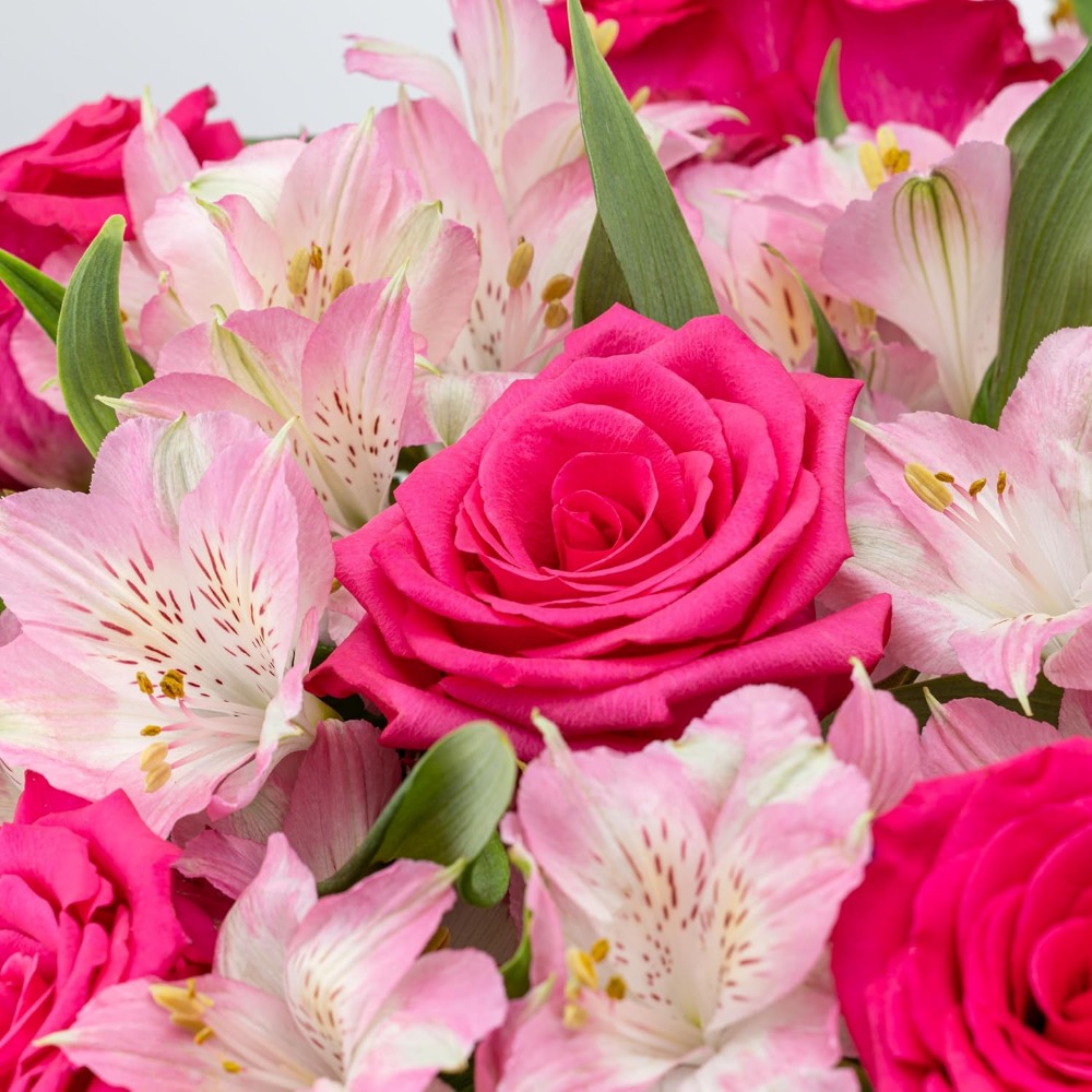 Elegant Rose and Alstroemeria  - Home Decor Tulip 评论和价格